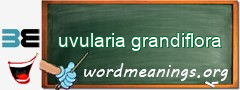WordMeaning blackboard for uvularia grandiflora